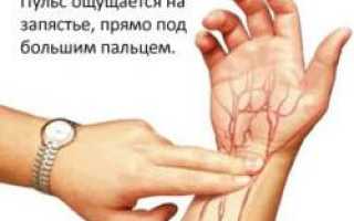 Средний пульс человека в минуту